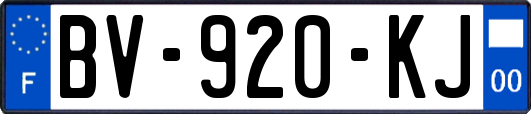 BV-920-KJ