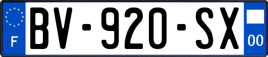 BV-920-SX