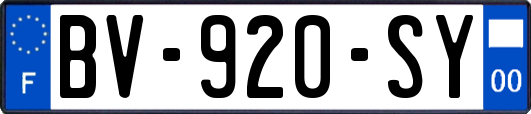 BV-920-SY