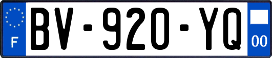 BV-920-YQ