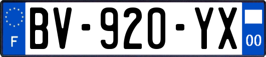 BV-920-YX