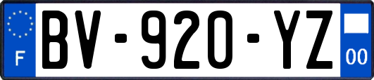 BV-920-YZ