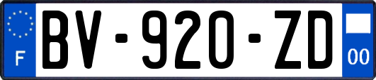 BV-920-ZD