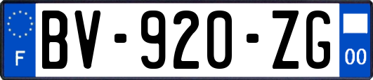 BV-920-ZG