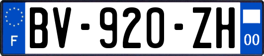 BV-920-ZH