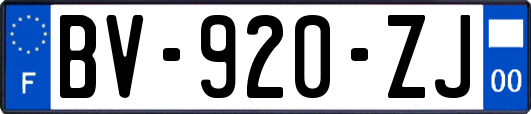 BV-920-ZJ