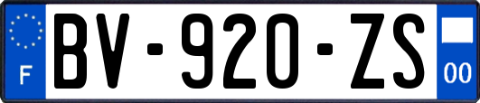 BV-920-ZS