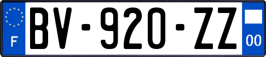 BV-920-ZZ