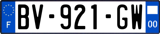 BV-921-GW