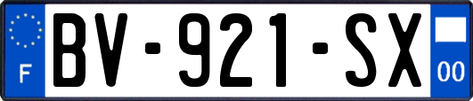 BV-921-SX