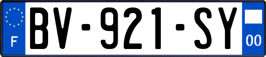 BV-921-SY