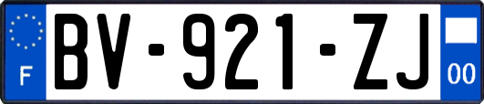 BV-921-ZJ