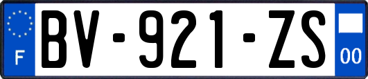 BV-921-ZS