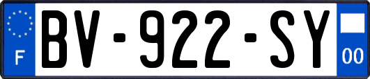 BV-922-SY