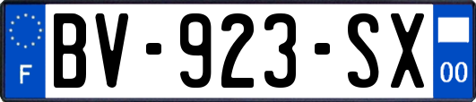 BV-923-SX