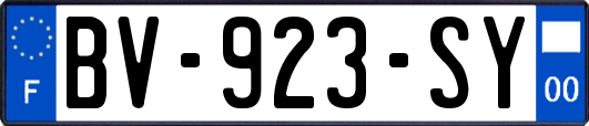 BV-923-SY