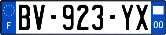 BV-923-YX