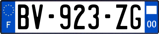 BV-923-ZG