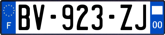 BV-923-ZJ