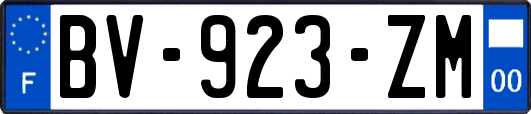 BV-923-ZM