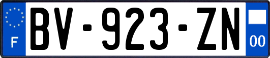 BV-923-ZN