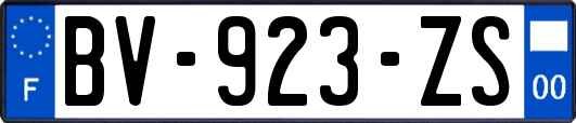 BV-923-ZS