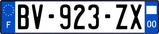 BV-923-ZX