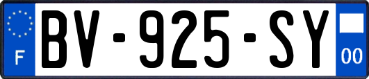 BV-925-SY