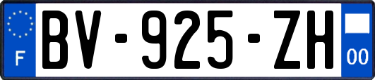 BV-925-ZH