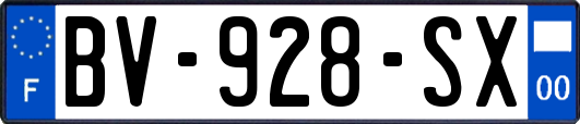 BV-928-SX