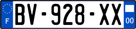 BV-928-XX