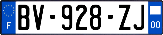 BV-928-ZJ