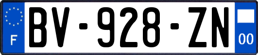 BV-928-ZN