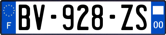 BV-928-ZS