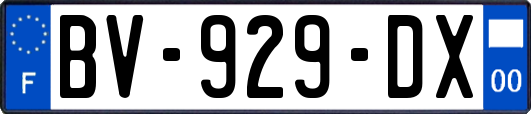 BV-929-DX