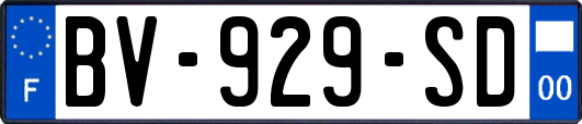 BV-929-SD