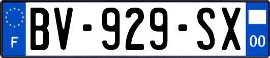 BV-929-SX