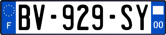 BV-929-SY