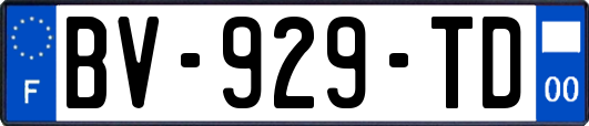 BV-929-TD