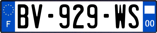 BV-929-WS