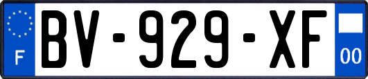 BV-929-XF