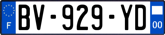 BV-929-YD
