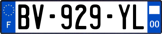 BV-929-YL