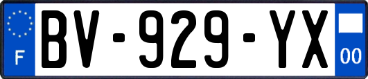 BV-929-YX