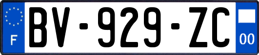 BV-929-ZC