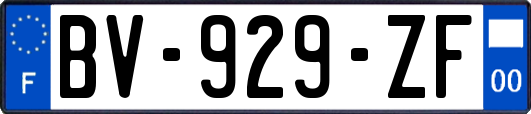 BV-929-ZF