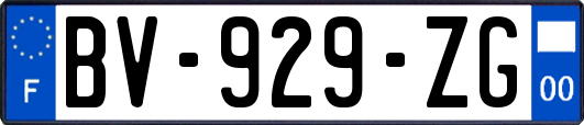 BV-929-ZG