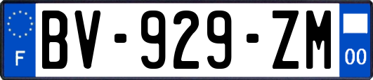 BV-929-ZM