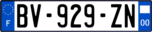 BV-929-ZN