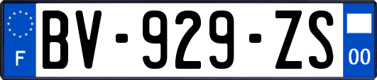 BV-929-ZS